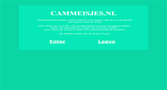 Desktop Screenshot of cammeisjes.nl